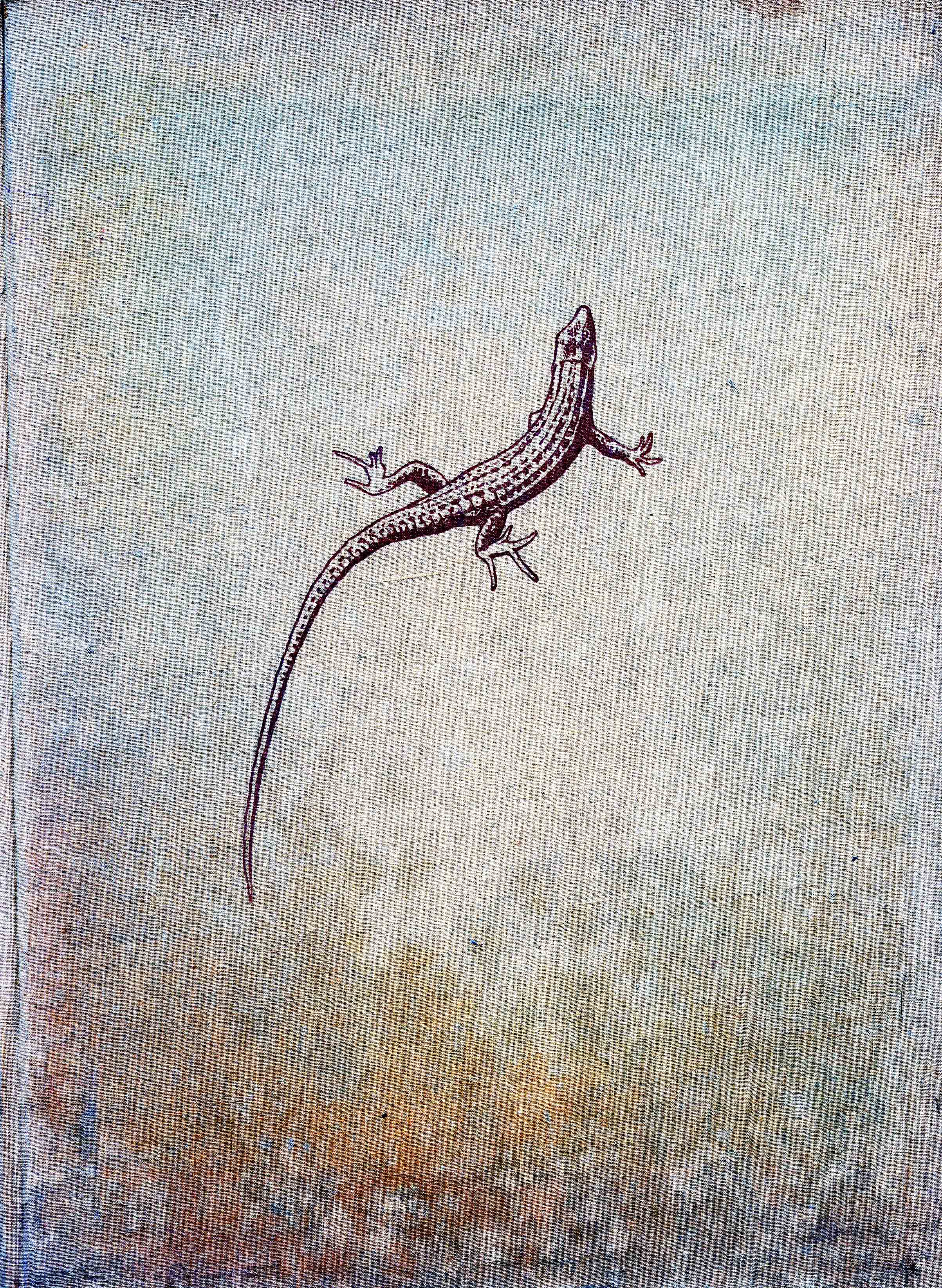 Image for Reptile Life,